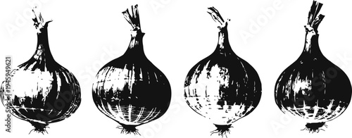 four whole onions lined up in a row with detailed black ink illustration style, rustic vegetable concept