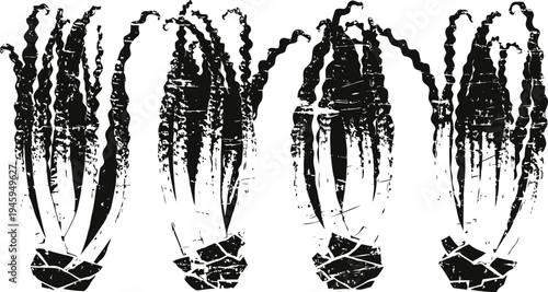 Grayscale celosia flower illustrations monochrome floral bundle silhouette decorative botanical art