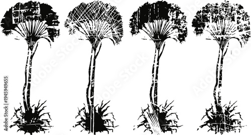 four dandelion plants with roots black and white botanical silhouettes of young dandelions