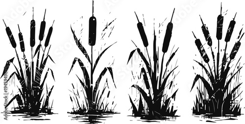 cattail plants silhouette set marsh wetland reeds, tall grass and seed heads natural water habitat vegetation