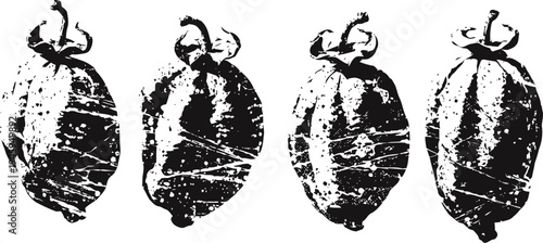 Four vintage cocoa beans illustrations in black and white isolated on white background