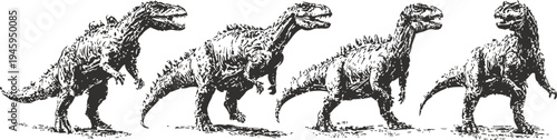 black and white vector set of tyrannosaurus rex dinosaur in different walking and standing poses, prehistoric reptile illustrations