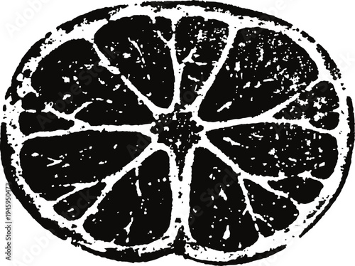 Black and white orange slice illustration citrus fruit cross section with detailed texture and segments