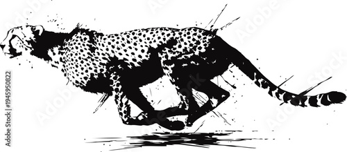 Running cheetah silhouette fastest animal speed, motion and wild nature concept