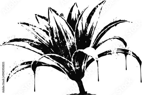 Monochrome agave plant illustration with bold brush stroke on white background