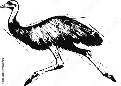 black and white illustration of a running bird with long legs and a curved neck in vintage ink