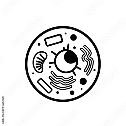 Cell Structure Diagram Biology Illustration.