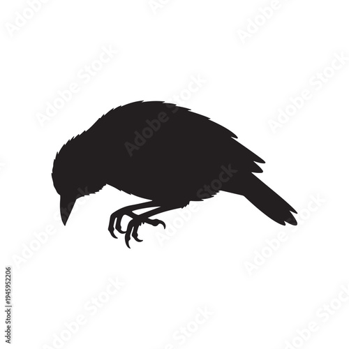 Dead bird black silhouette vector illustration on white background