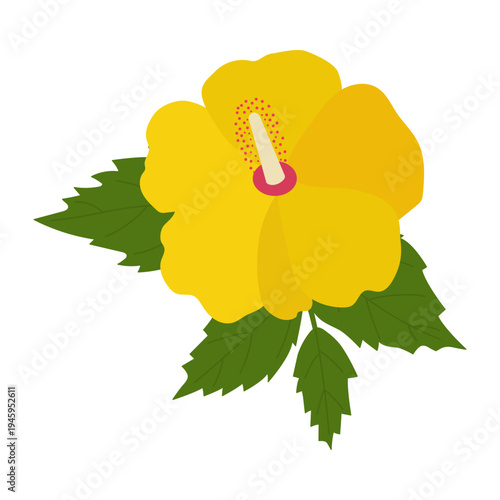 White hibiscus flower isolated on white background, tropical exotic plant flat vector illustration, icon.	
