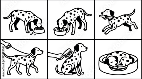 Black and white vector art of spotted dog eating drinking running walking leashed brushed and sleeping in bed