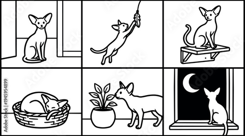 Minimalist vector art of slender cat sitting playing with feather jumping resting in basket exploring plant smelling standing by window at night