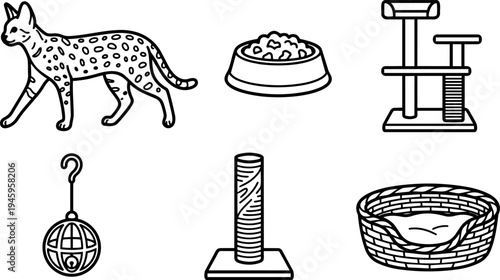 Line art vector collection of cat walking bowl scratching post hammock and toy set simple black outline icons
