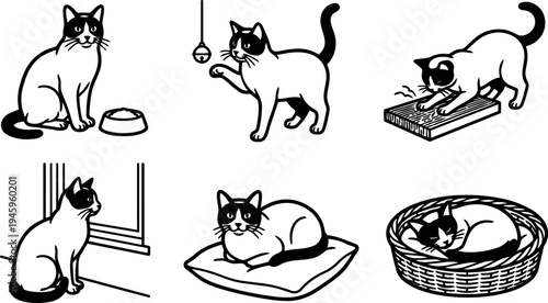 Black and white vector art of a playful cat sitting eating scratching playing sleeping in basket and on cushion illustration set