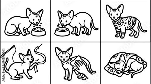 Black and white line art illustrations of sphynx cat eating drinking playing wrapped in sweater and blanket with hand petting