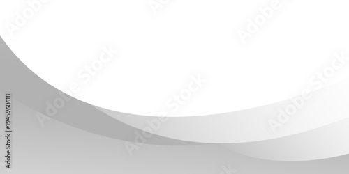 Abstract white and gray smooth wave background. texture white pattern. vector illustration