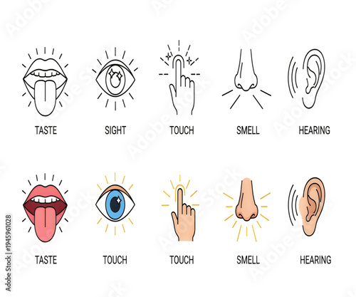 Human five senses icon set with taste sight touch smell and hearing symbols
