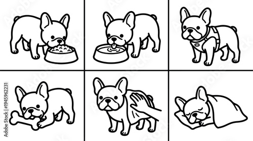 Simple black and white line art vector showing six french bulldog poses eating drinking standing chewing bone being wiped sleeping under blanket