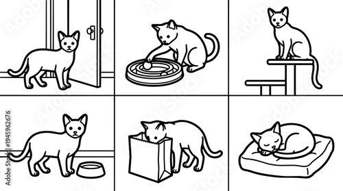 Black outline cat vector icons showing curious cat near door playing with toy sleeping on cushion exploring bag sitting on cat tree near bowl