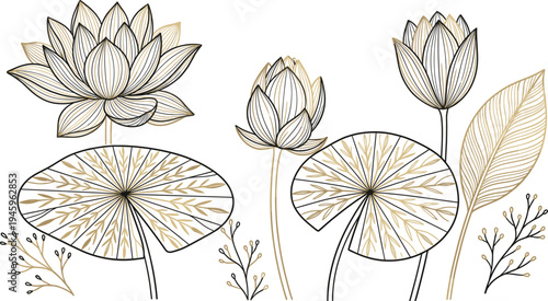 Elegant lotus flower botanical line art collection with water lily leaves decorative floral elements for luxury nature design tattoo wallpaper