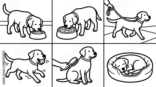 Line art vector showing a happy dog eating food drinking water walking on leash playing fetching ball being brushed and sleeping in bed set