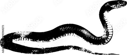 Ink drawing of snake and compass rose - high contrast black and white design for posters or cards