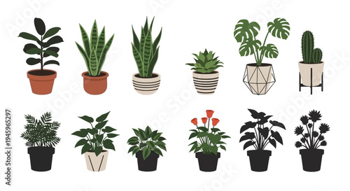 A collection of various potted houseplants and flowering plants on white