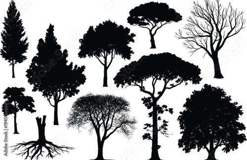 Tree silhouette collection, diverse forest icons, deciduous coniferous shapes, botanical illustration design, black vector nature symbols, ecology concept, educational forestry graphic