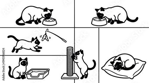 Black and white vector art showing playful cat eating drinking playing scratching and sleeping with minimalist clean line style