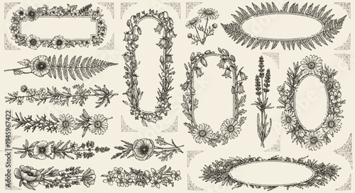 Victorian Botanical Etching Borders and Wildflower Engraving Vector Frames