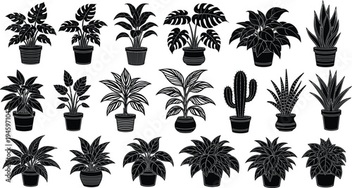 Houseplant silhouettes, indoor plants, potted greenery, tropical leaves, cactus illustration, succulent graphics, botanical design, decorative foliage, gardening art, vector icons
