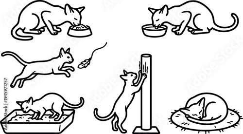Line art vector set showing cats eating playing scratching post using litter box and sleeping on cushion in simple black outline