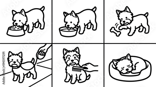 Line art vector illustrations of small dog eating drinking playing with bone walking on leash being combed sleeping in bed