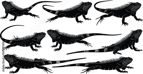 Black iguana silhouette collection featuring various lizard poses like crawling climbing and resting isolated on white background botanical reptile vector set.