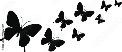 WebVector silhouette set of flying butterflies, swarm of insects in motion isolated on white background for spring nature decorative design elements,