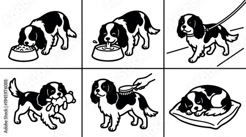 Black and white vector art of spaniel dog eating drinking walking playing with toy being brushed and sleeping on cushion