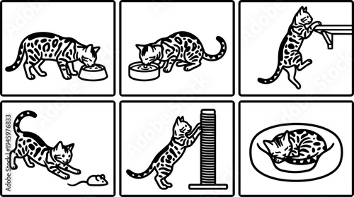 Minimalist black and white vector art set showing spotted cat eating playing climbing scratching and sleeping in simple outlined style