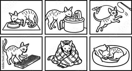 Black and white vector art of sphynx cat eating drinking playing wrapped in blanket and sleeping in bed illustrations