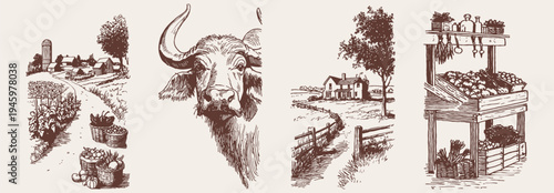 Countryside agriculture and farm market rustic illustration set. Buffalo, barns and harvest elements. Banner for organic food label. Vintage crayon drawn sketch style.