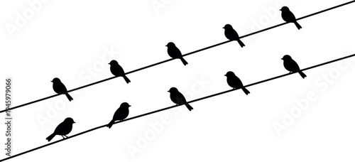 Black Birds Silhouette Sitting on Power Lines Minimalist Vector Illustration of Songbirds Perched on Electric Wires Isolated on White Background for Graphic Design