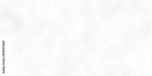 Abstract topography pattern seamless lines sea map modern design white background. Abstract digital topographic contour map concept space geometric strip grid line. Natural discovery of maps.