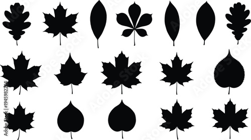 Collection of diverse people silhouettes sitting on floor, casual poses, meditation, relaxing, group of men and women, isolated, vector, background