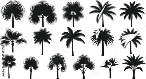 Collection of tropical palm tree silhouettes featuring various exotic species like coconut and fan palms isolated for summer travel designs.