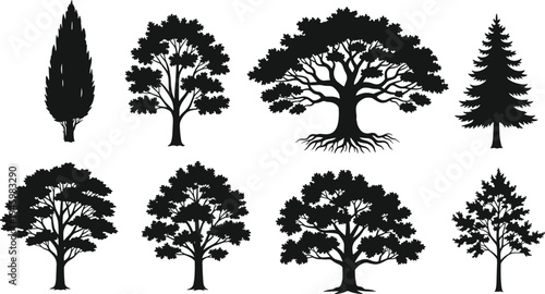 Tree silhouette collection, forest trees set, oak pine cypress nature vector illustration botanical icons isolated black woodland design