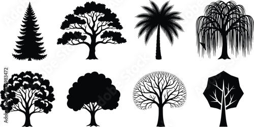 Tree silhouette collection, pine oak palm willow forest nature vector illustration botanical icons isolated black woodland design set