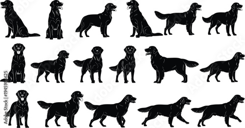 Golden Retriever Dog Silhouettes Set, Purebred Retriever Vector Icons, Sitting Standing and Running Dog Poses, Domestic Pet Animal Graphic Collection.