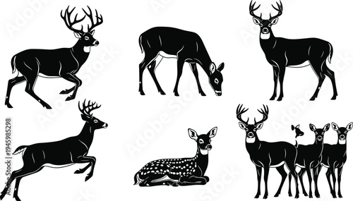 Wild deer, animal silhouette, white background, black silhouette, deer family, buck antlers, hunting season, forest animal, jumping deer, grazing deer, wildlife 