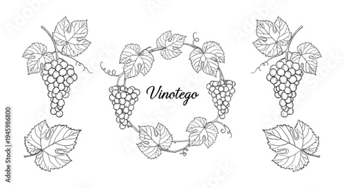 Elegant floral wreath design with delicate vines and leaves isolated on transparent background