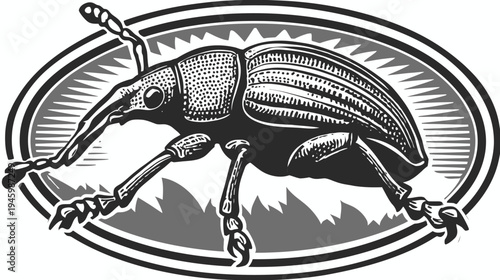 Artistic black and white illustration of a stylized insect within an oval frame