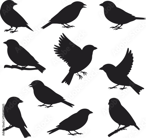 Small bird silhouettes vector collection, flying and perched songbirds set, black wildlife nature bird shapes isolated, flat vector illustration