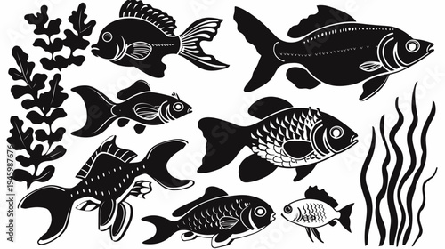 Silhouetted illustration of various fish and aquatic plants in black against a white background